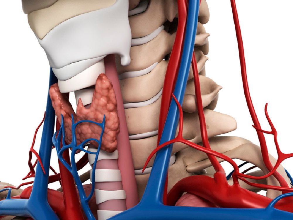 cardiologista Curitiba_mauricio Sperandio